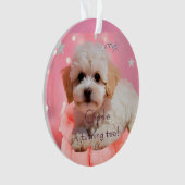 Hond Laten we feest verjaardag  Ornament (voorkant)