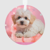 Hond Laten we feest verjaardag  Ornament (achterkant)