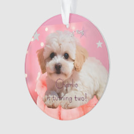 Hond Laten we feest verjaardag Ornament