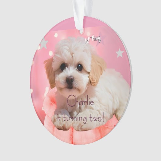 Hond Laten we feest verjaardag  Ornament (voorkant)