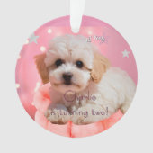 Hond Laten we feest verjaardag  Ornament (voorkant)