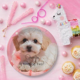 Hond Laten we feest verjaardag Papieren Bordje