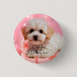 Hond Laten we feest verjaardag  Ronde Button 3,2 Cm