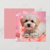 Hond Laten we feest verjaardag  Save The Date (Voorkant / Achterkant)