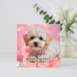 Hond Laten we feest verjaardag Save The Date
