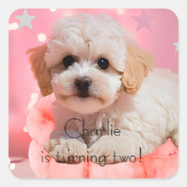 Hond Laten we feest verjaardag  Vierkante Sticker