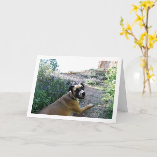 Hond leggen in Wildflower Portret Kaart (Gele Bloem)