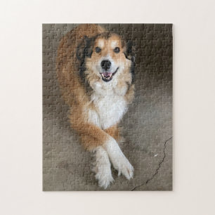 Hond Legpuzzel