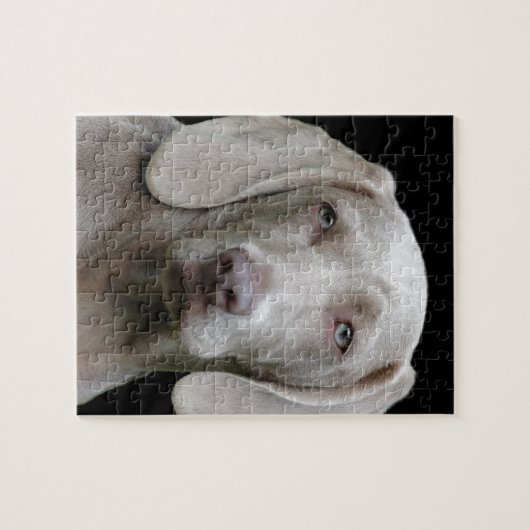 hond legpuzzel (Horizontaal)