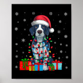 Hond Lelijke Xmas Lights Santa Hat Engels Pointer  Poster (Voorkant)