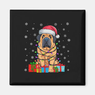 Hond Lelijke Xmas Lights Santa Hat Tibetaanse Mast Magneet