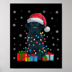 Hond Lelijke Xmas Lights Santa Hat Zwarte Labrador Poster