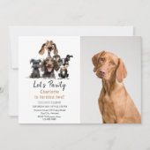 Hond Let's Pawty Verjaardag foto Kaart (Voorkant)