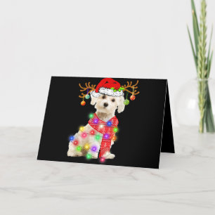 Hond Liefhebber   Maltese Kerstman Hoed Kerst Elfj Feestdagen Kaart