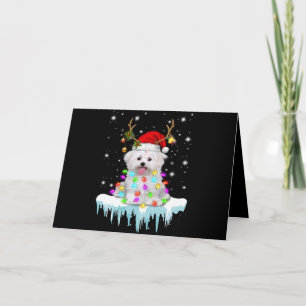 Hond Liefhebber Maltezer Kerst Sieraad Licht In W Feestdagen Kaart