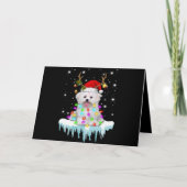 Hond Liefhebber |Maltezer Kerst Sieraand Licht In  Feestdagen Kaart (Voorkant)