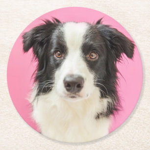 Hond Liefhebber Roze Feestje Puppy Schattig Border Ronde Kartonnen Onderzetter