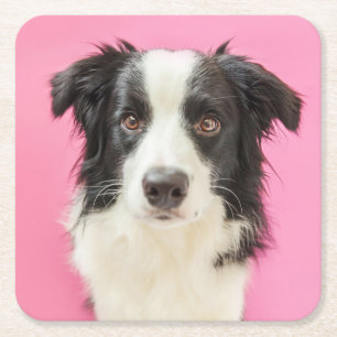 Hond Liefhebber Roze Puppy Hondje Schattige Border Kartonnen Onderzetters