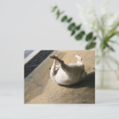 Hond ligt op de vloer briefkaart (Staand voorkant)