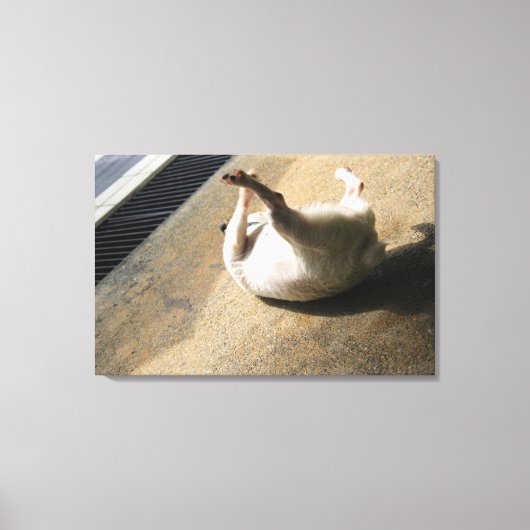 Hond ligt op de vloer canvas afdruk (Voorkant)