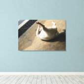 Hond ligt op de vloer canvas afdruk (Insitu (Houten vloer))