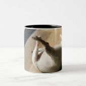 Hond ligt op de vloer tweekleurige koffiemok (Center)