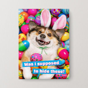 Hond ligt op paaseieren button