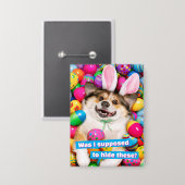 Hond ligt op paaseieren button (Voorkant / Achterkant)