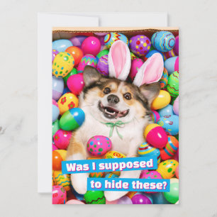 Hond ligt op paaseieren kaart