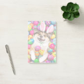 Hond ligt op paaseieren post-it® notes (Kantoor)