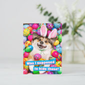Hond ligt op Pasen eieren Briefkaart (Staand voorkant)