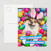 Hond ligt op Pasen eieren Briefkaart (Voorkant / Achterkant)