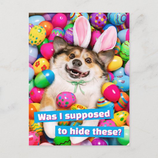 Hond ligt op Pasen eieren Briefkaart (Voorkant)