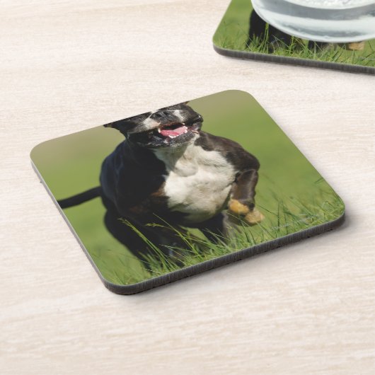 Hond loopt bier onderzetter (Linkerzijde)