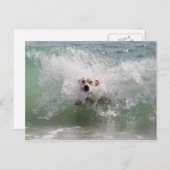 Hond loopt door oceaangolven, Surf, strand Briefkaart (Voorkant / Achterkant)