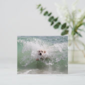Hond loopt door oceaangolven, Surf, strand Briefkaart (Staand voorkant)