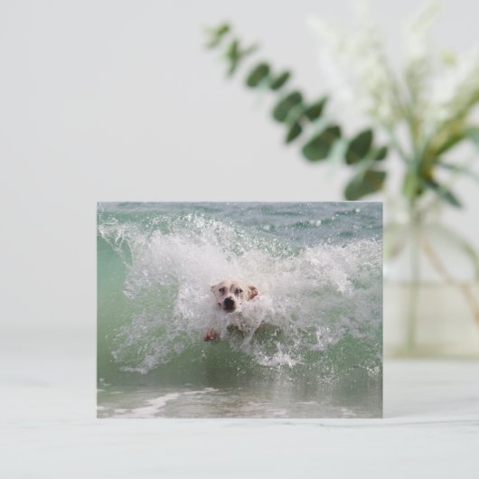 Hond loopt door oceaangolven, Surf, strand Briefkaart (Staand voorkant)