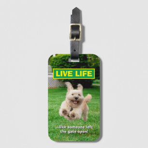 Hond loopt in de baard bagagelabel