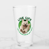 Hond loopt in de baard glas (Voorkant)