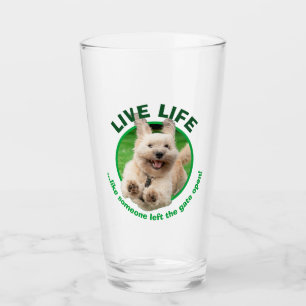Hond loopt in de baard glas