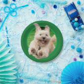 Hond loopt in de baard papieren bordje (Feest)