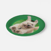 Hond loopt in de baard papieren bordje (Gekanteld)