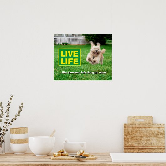 Hond loopt in de baard poster (Keuken)