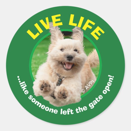 Hond loopt in de baard ronde sticker (Voorkant)