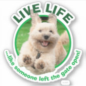 Hond loopt in de baard sticker (Voorkant)