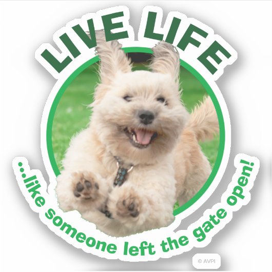 Hond loopt in de baard sticker (Voorkant)