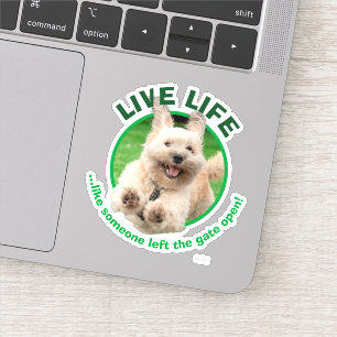 Hond loopt in de baard sticker