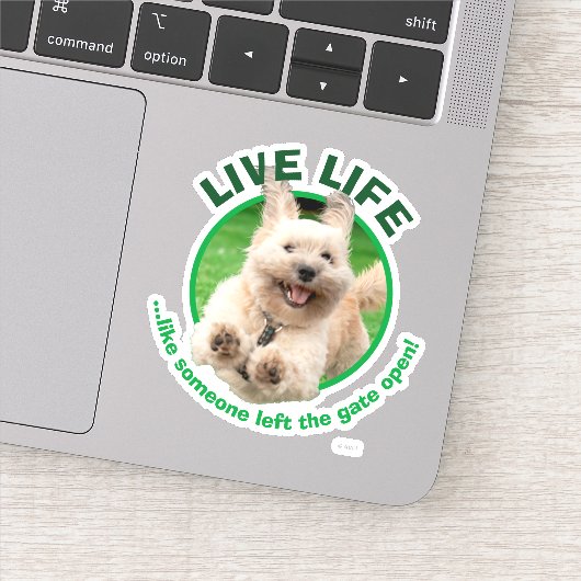 Hond loopt in de baard sticker (Detail)