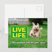 Hond loopt in de baard uitnodiging briefkaart (Voorkant / Achterkant)