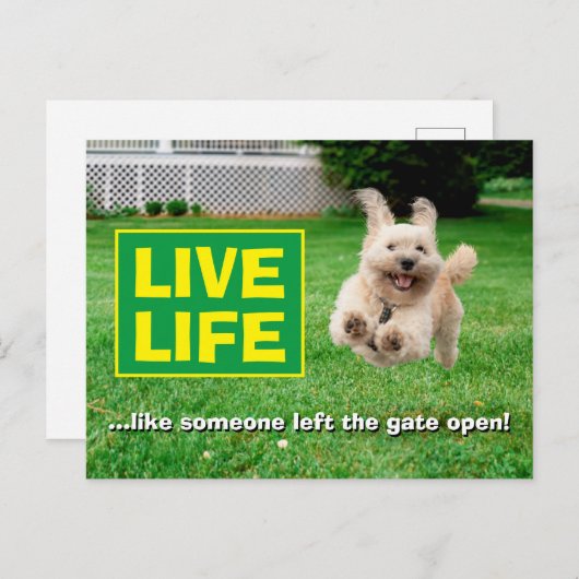 Hond loopt in de baard uitnodiging briefkaart (Voorkant / Achterkant)